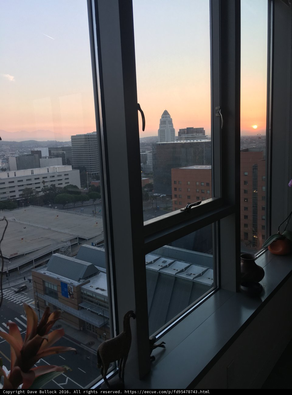 Window to the City