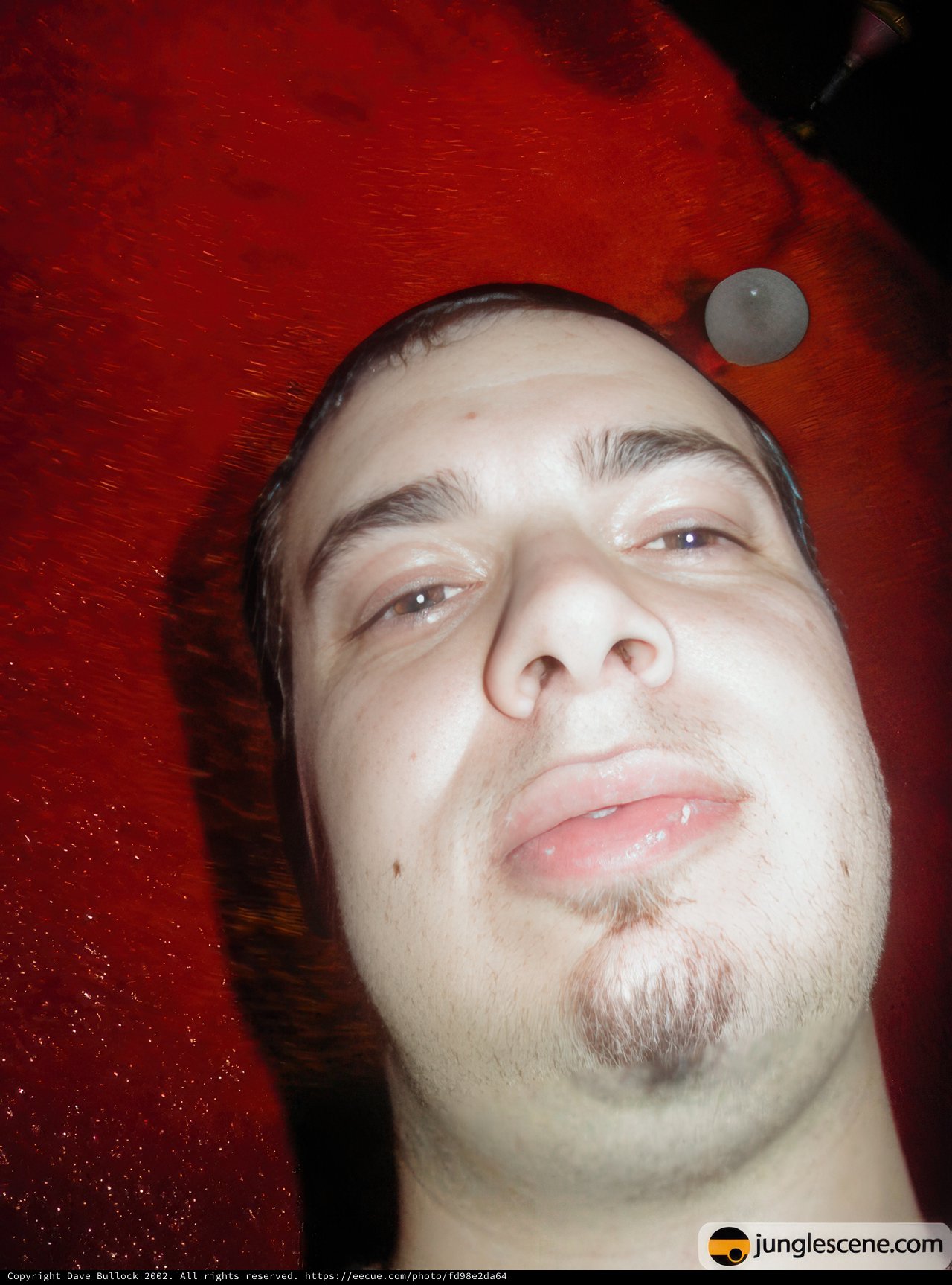 Dave B's Red Portrait