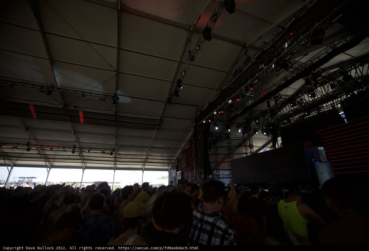 Lights Up: The Electric Crowd at Coachella