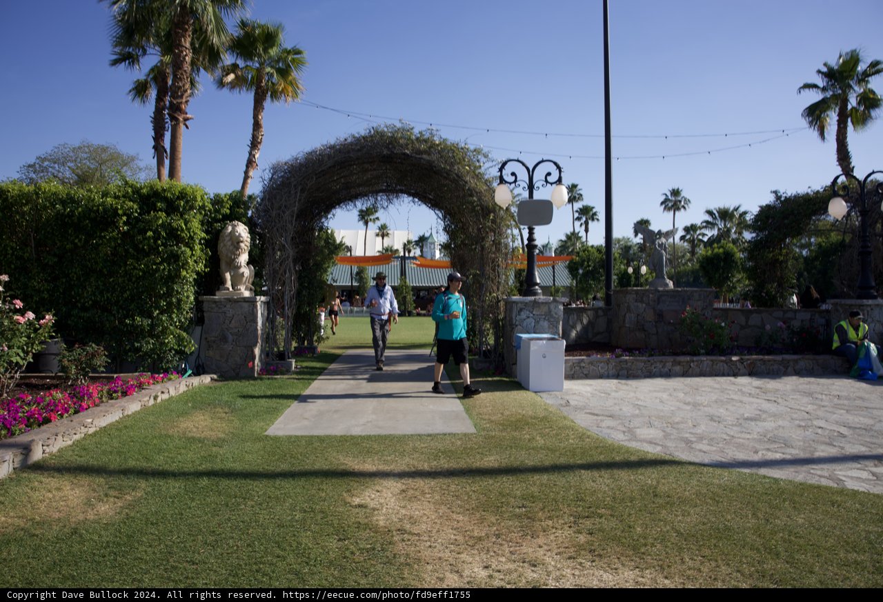 Serene Paths and Lush Palms: A Day at Coachella 2024