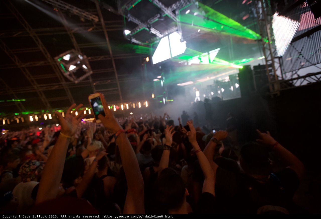 Green Lights, Bright Nights