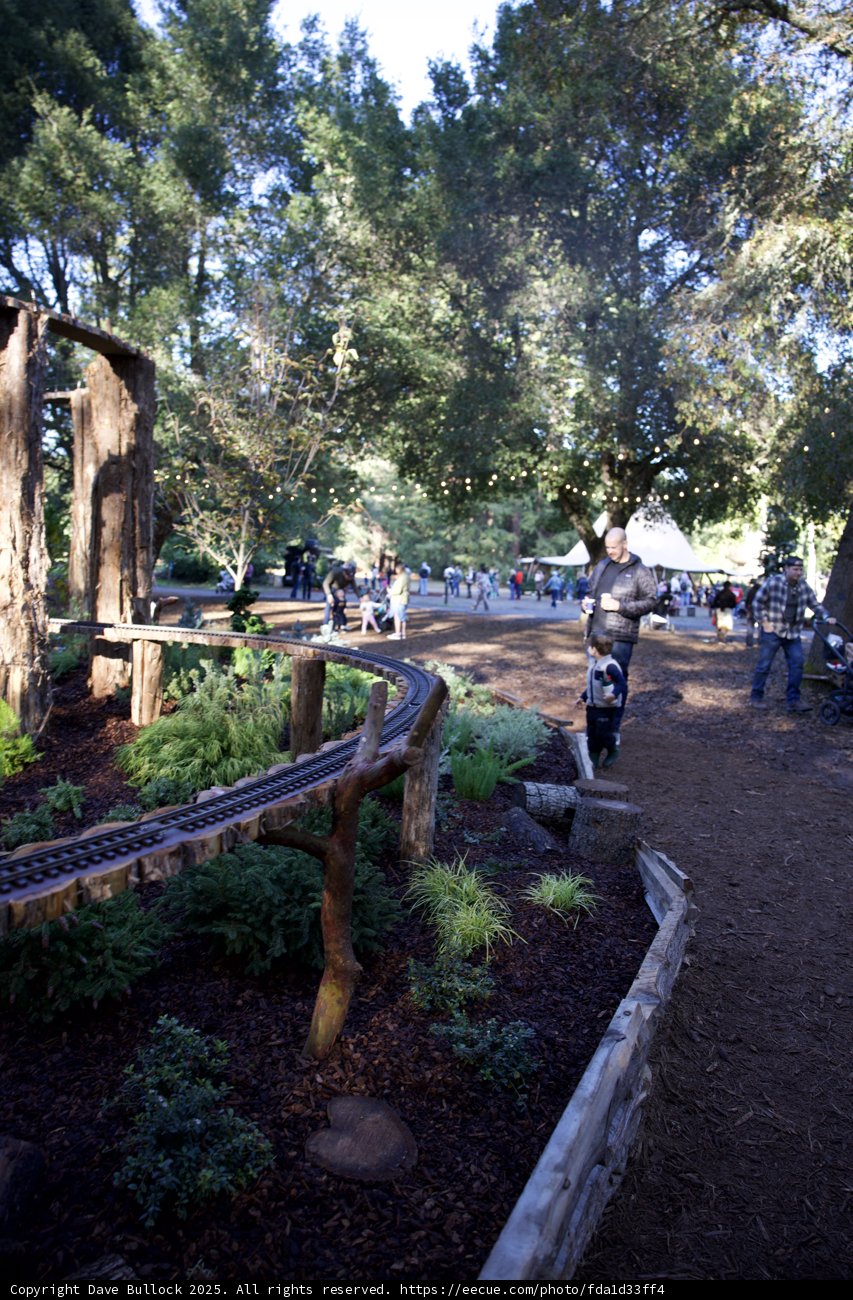 Enchanted Woodland at Thistlewyck