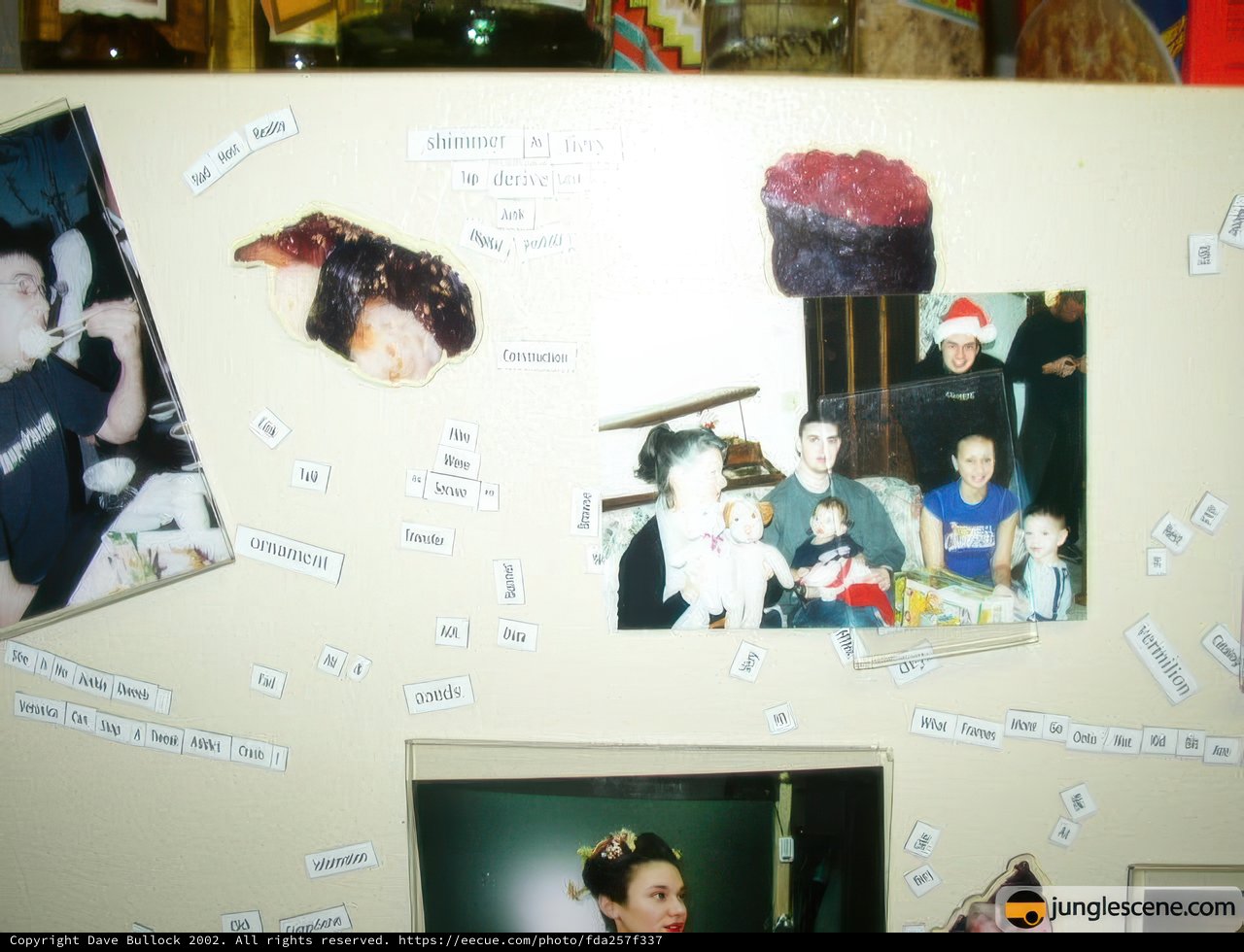 Personal Collage on Fridge