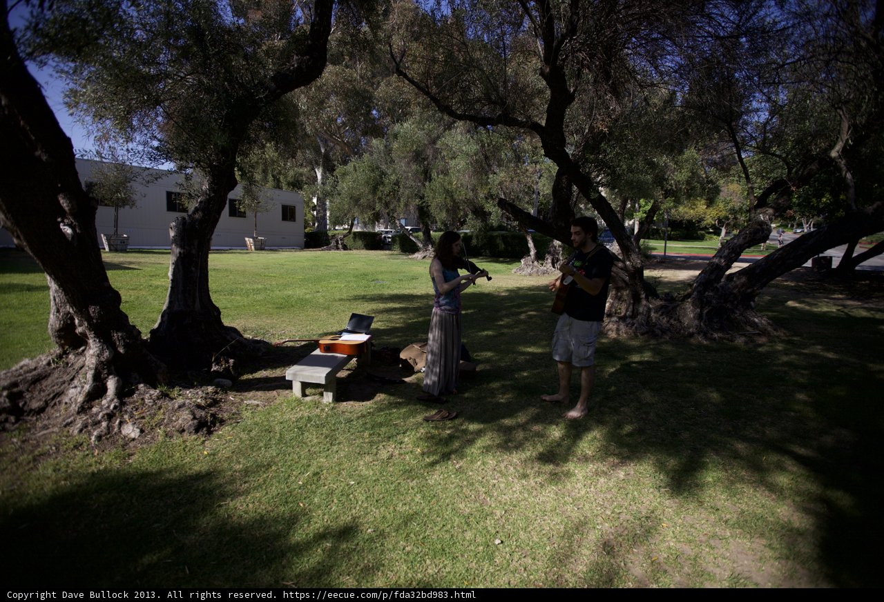 Picnic Time Under The Trees