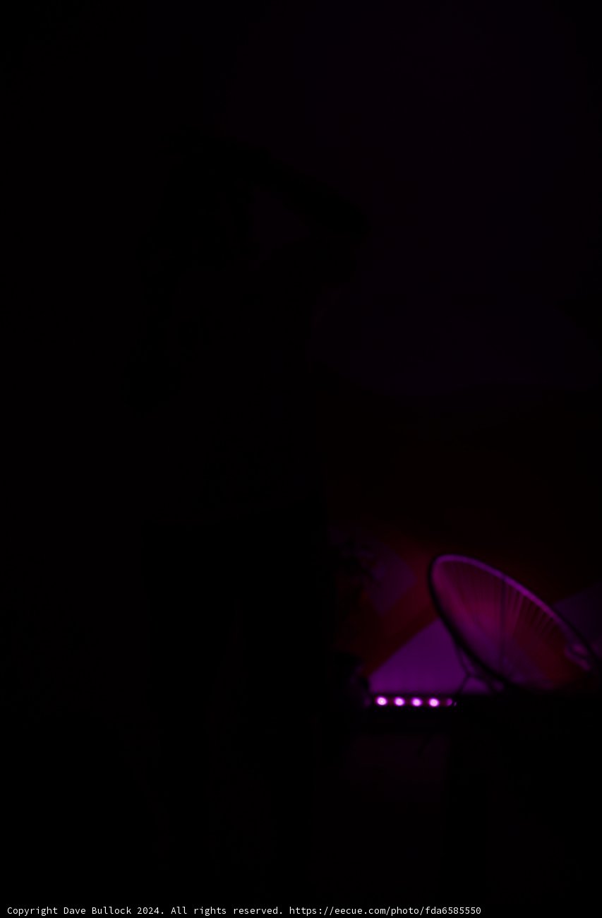 Nocturnal Symphony: Silhouettes and Purple Hues at Coachella 2024
