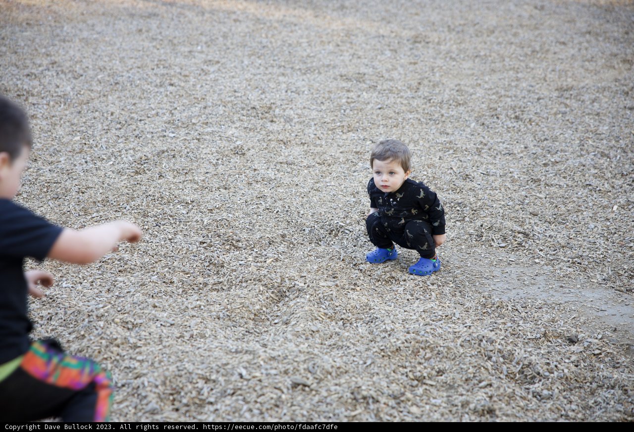 Playtime in the Park: A Fall Day of Frisbee Fun