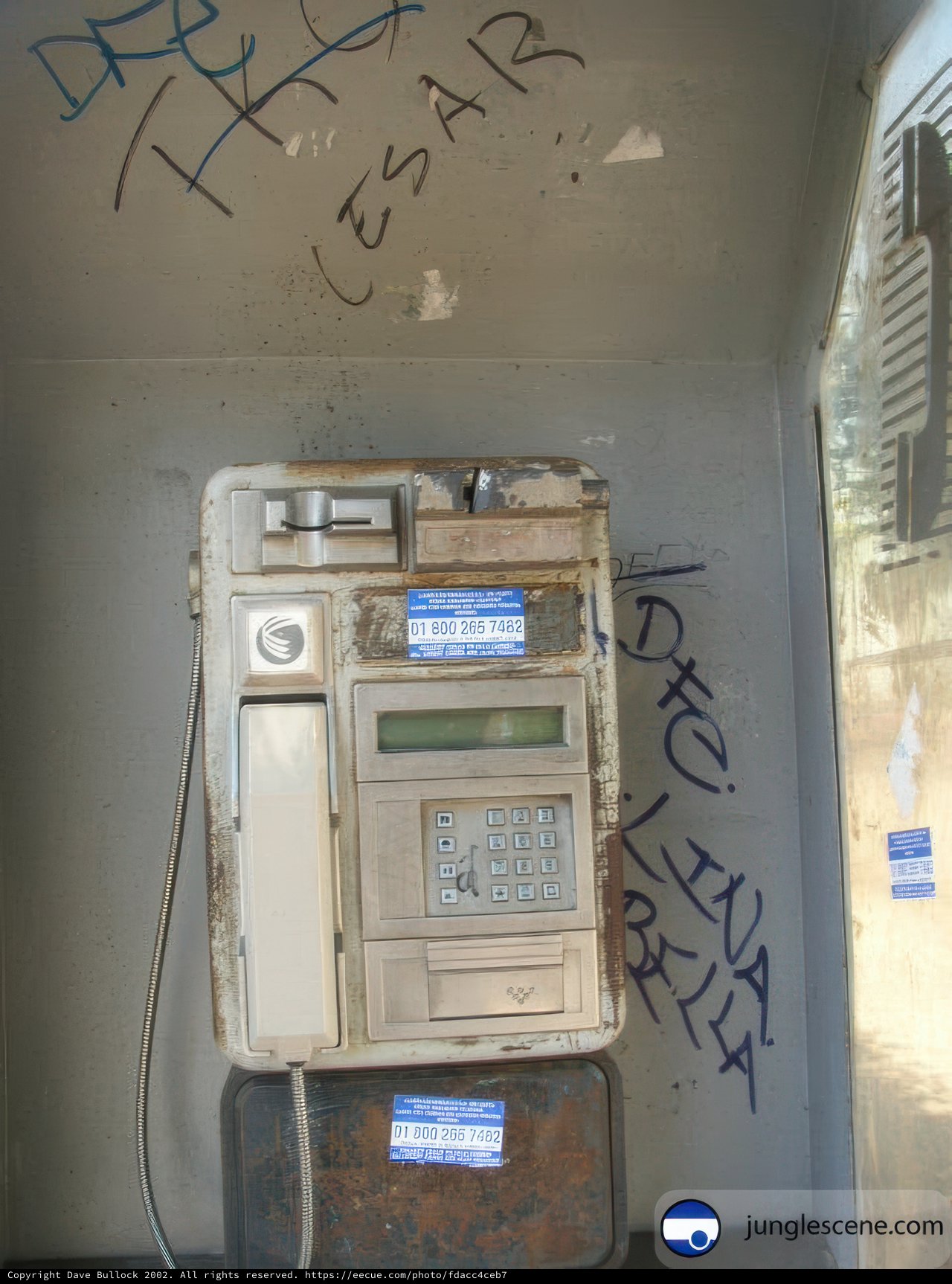 Defaced Pay Phone