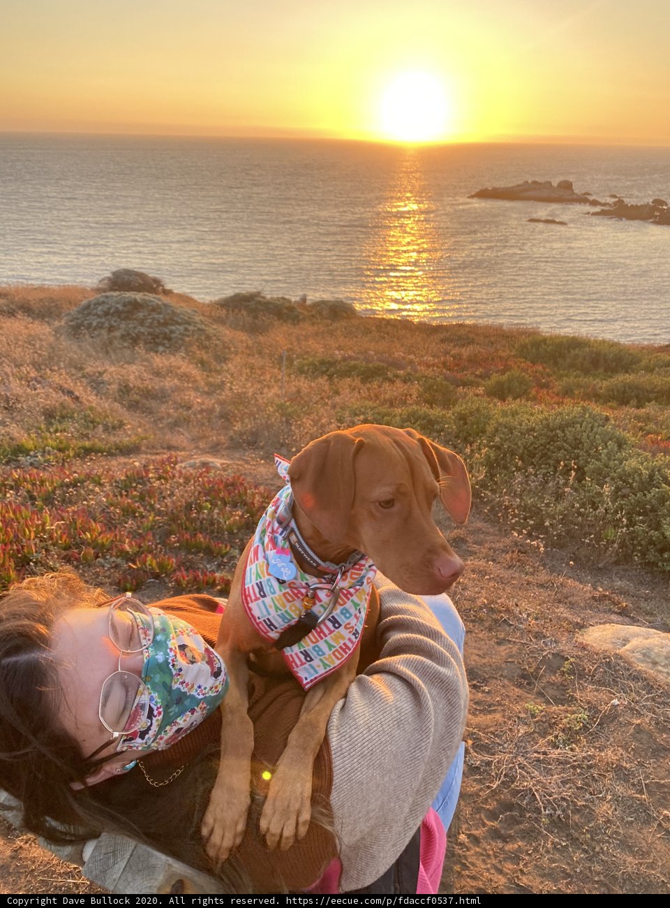 Sunset Relaxation with Furry Companion