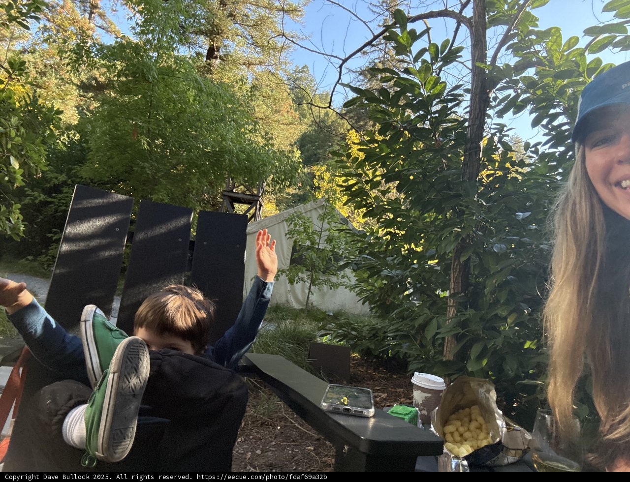 Playful Moments in the Wilderness