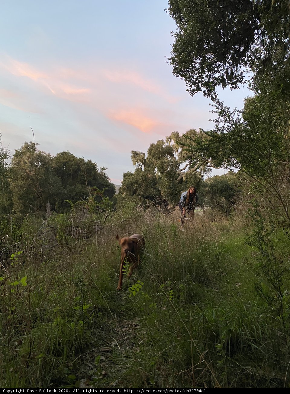 A Walk in the Country