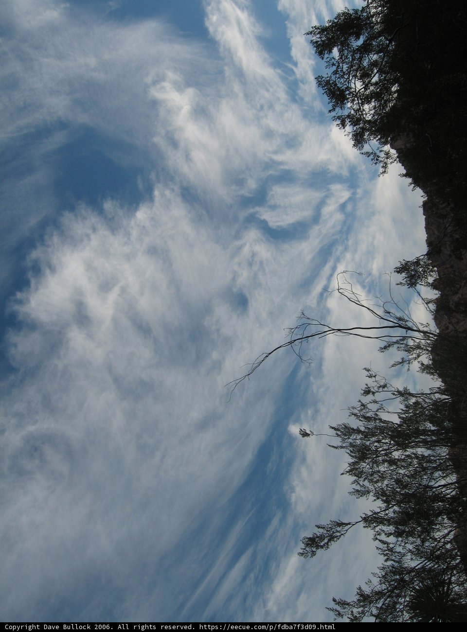 Cumulus Clouds Overhead