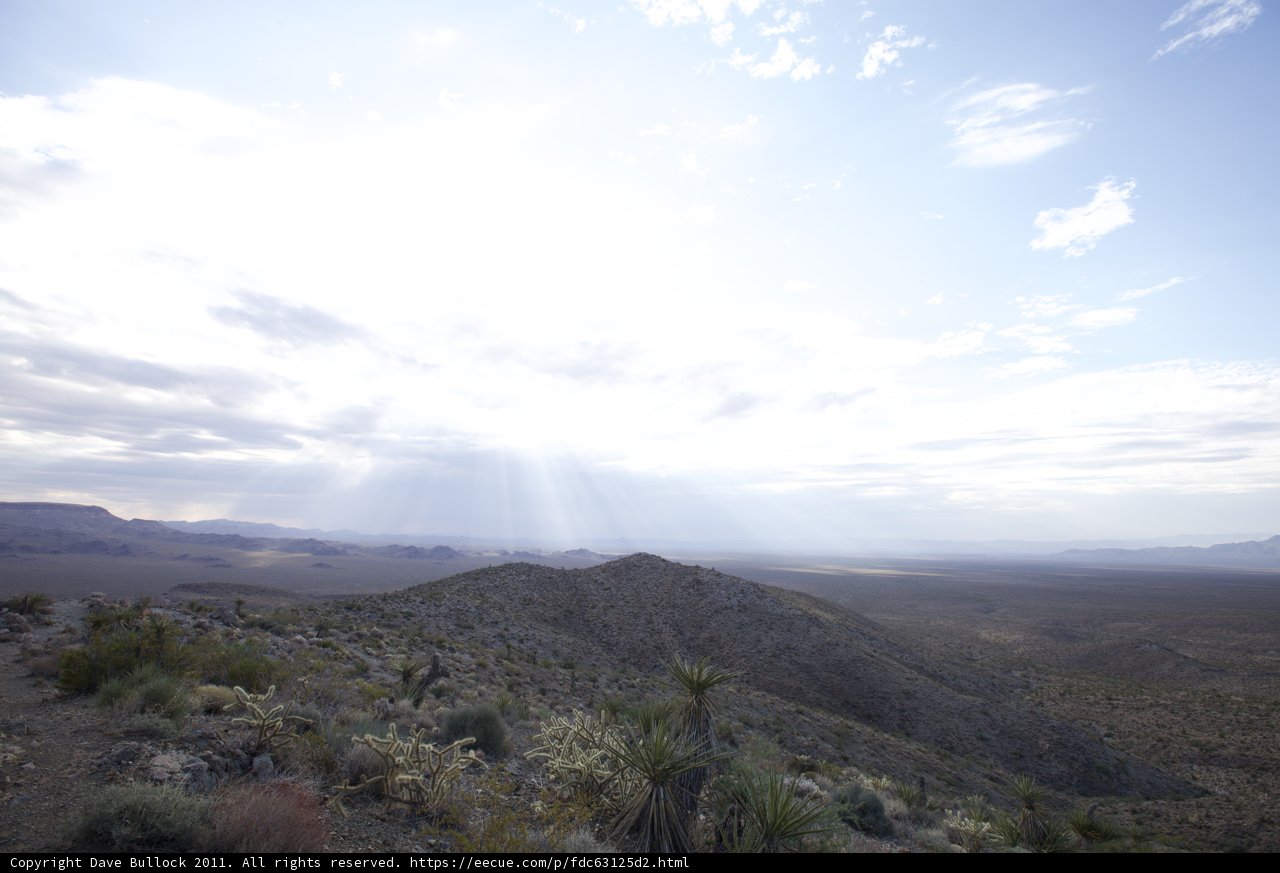 Serene Desert Landscape