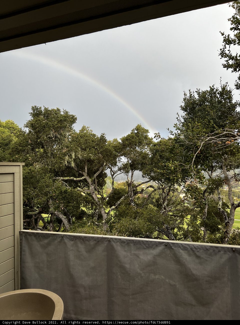 Rainbow Over Carmel Trees