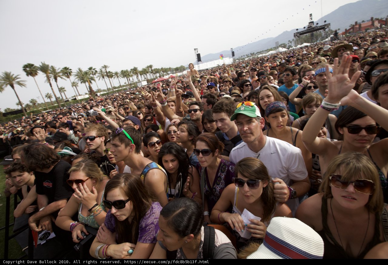Festival Fever