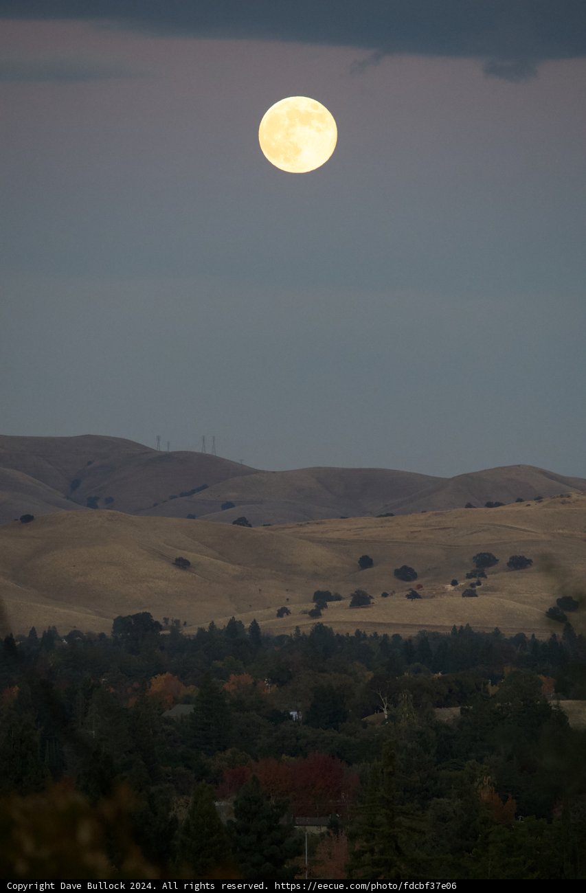Lunar Serenity Over Walnut Creek