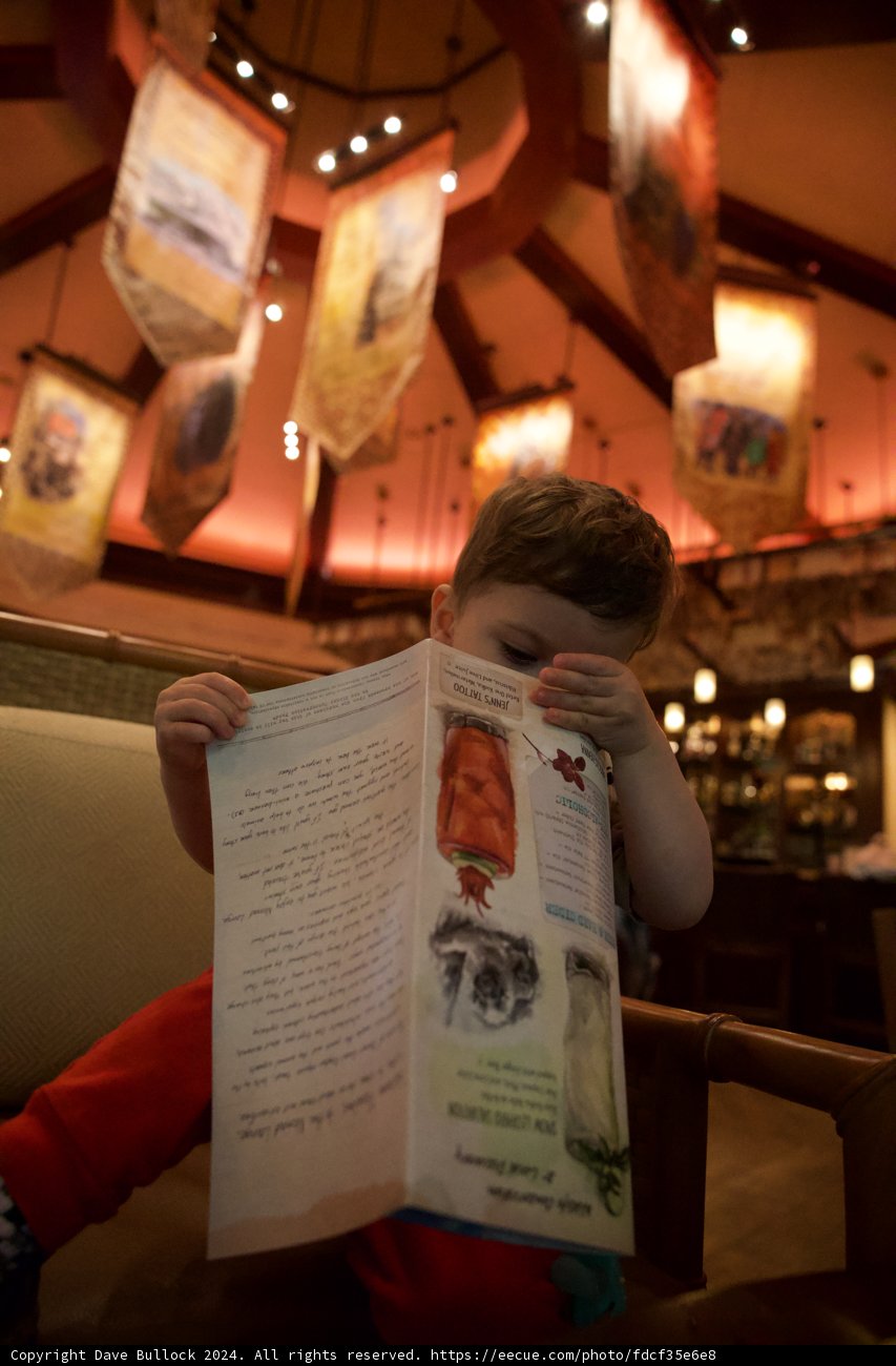 A Little Reader's Big Adventure at Disneyworld