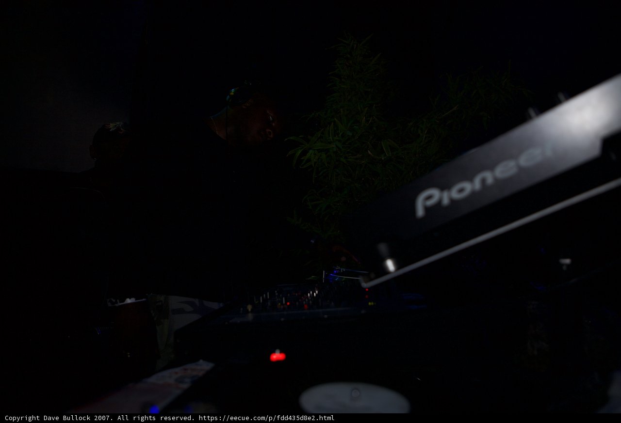Nightlife Groove