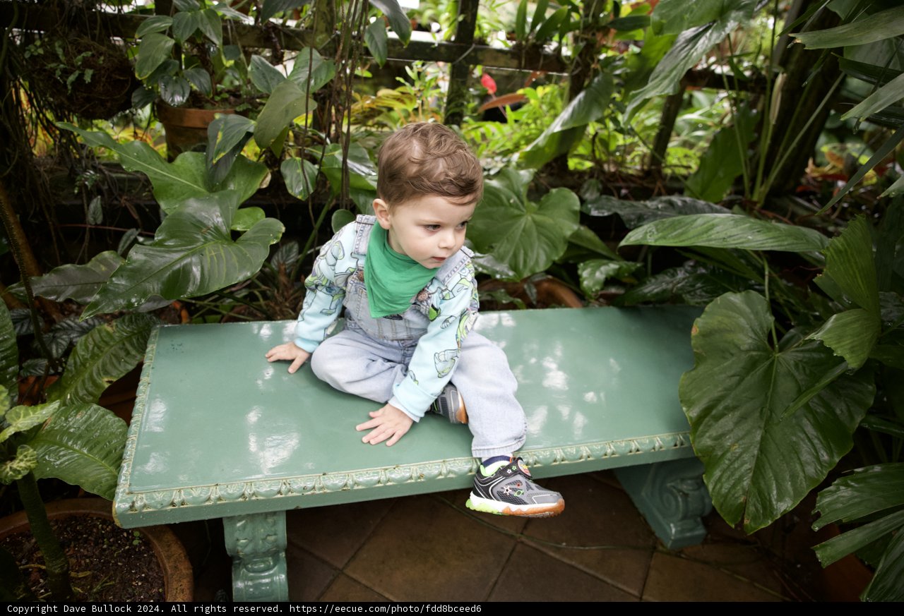 Blooming Innocence at the Conservatory