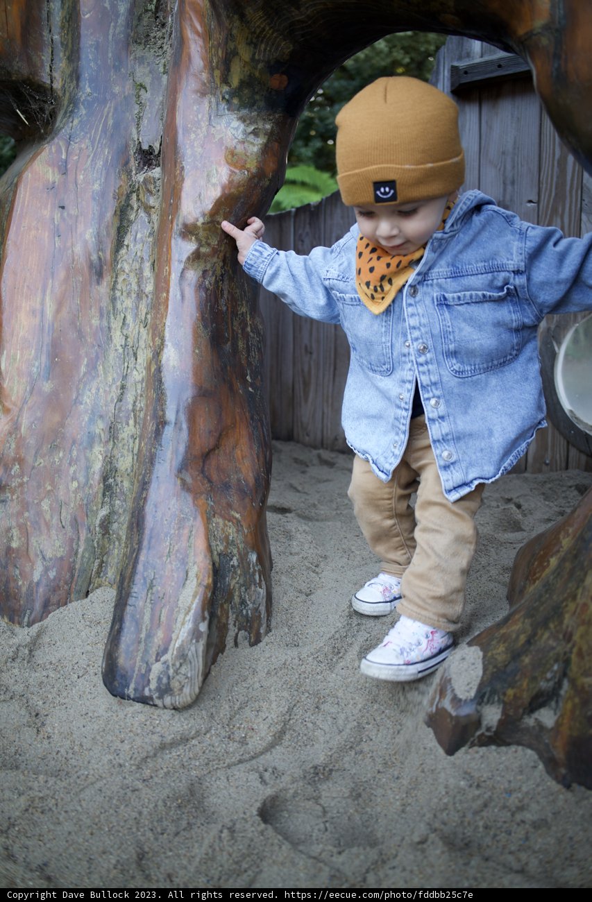 Tiny Explorer at SF Zoo, November 2023.