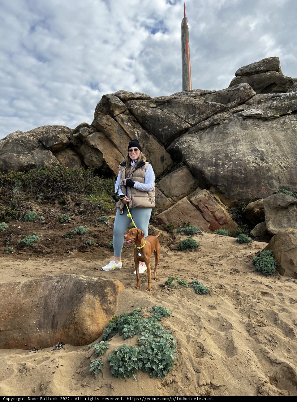 A Woman and Her Canine Companion at the Beach