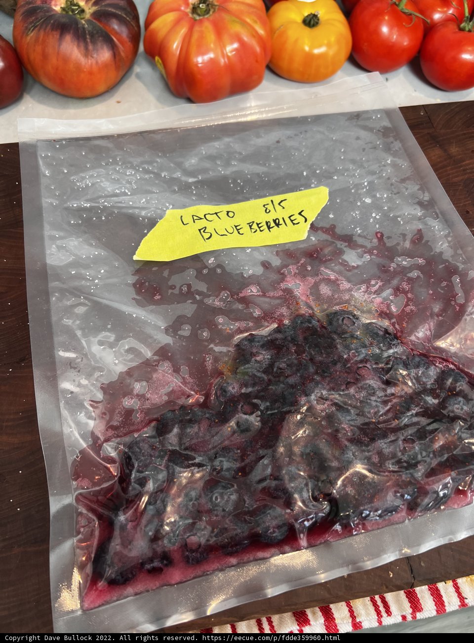 Fresh Blueberries for a Healthy Snack