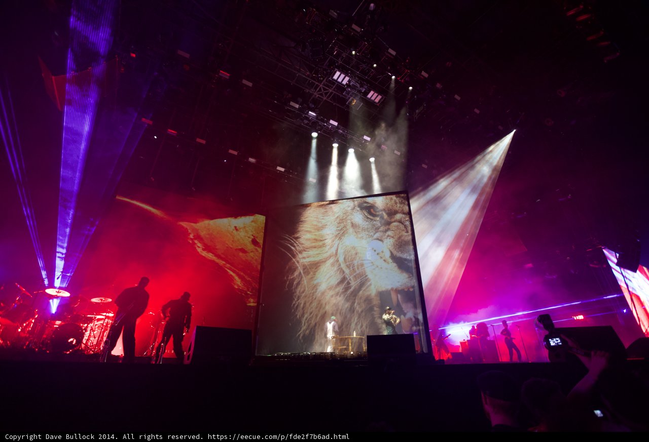 Lion King of Coachella