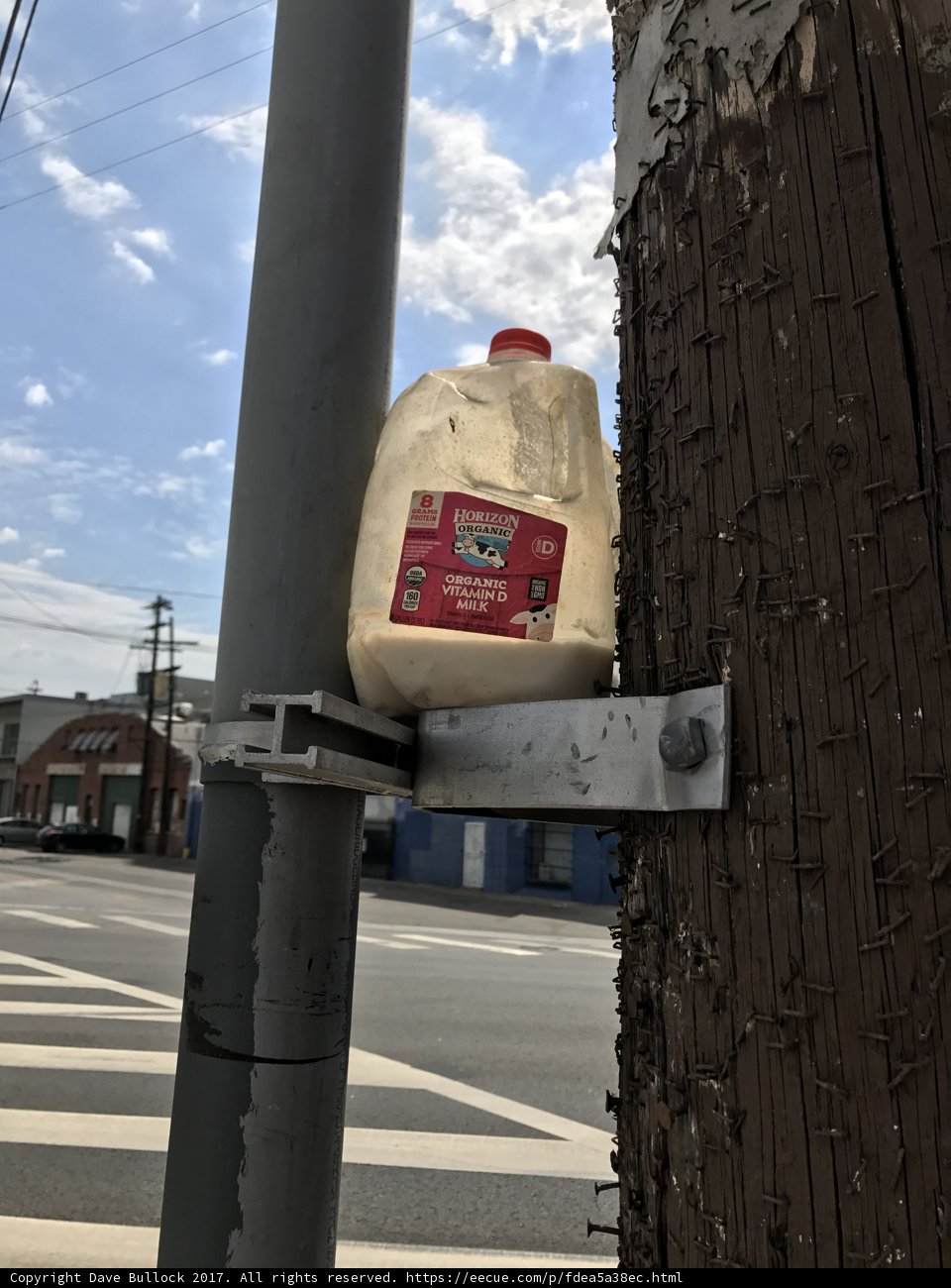 A Jug of Milk Perched High