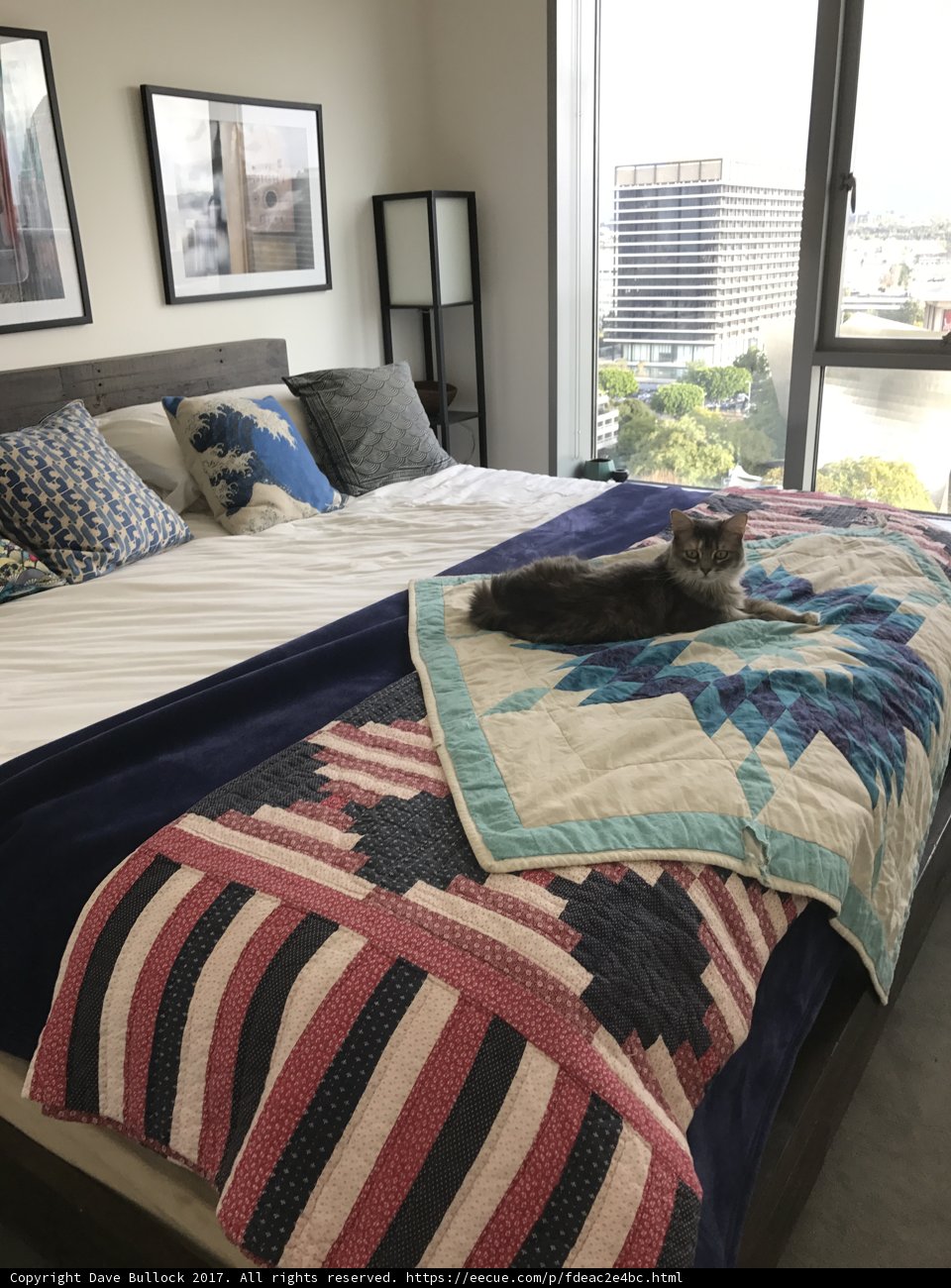 Feline Sanctuary