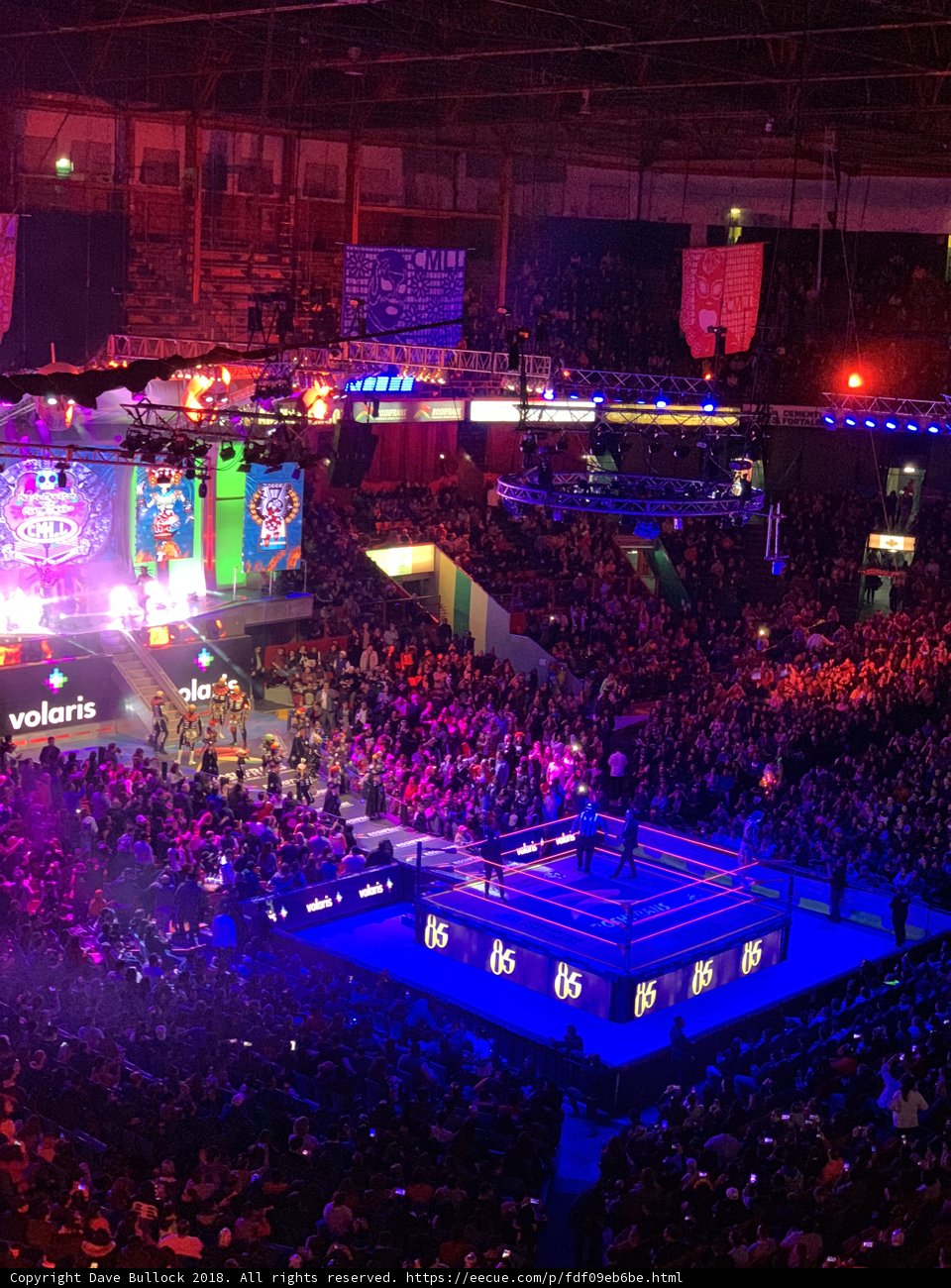 Nightlife Wrestling