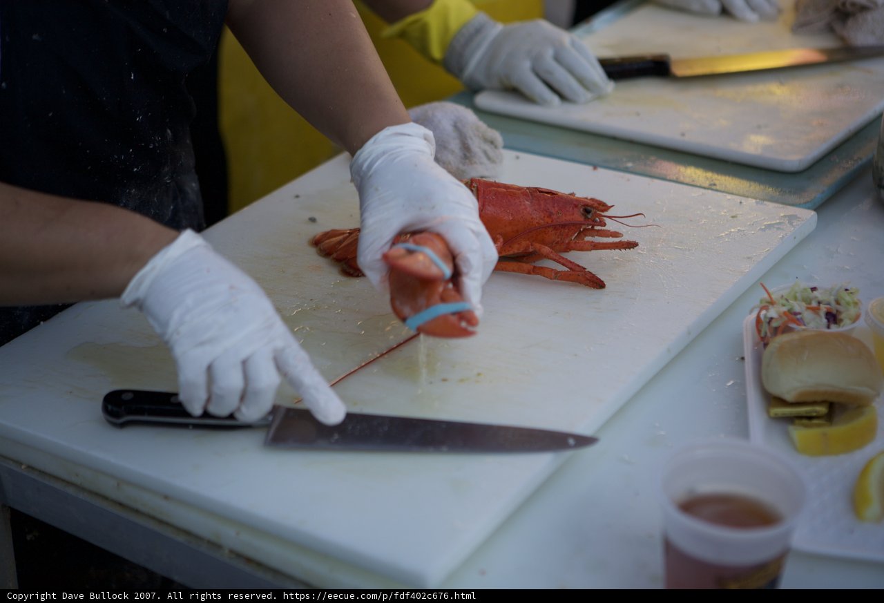 Lobster Butchery