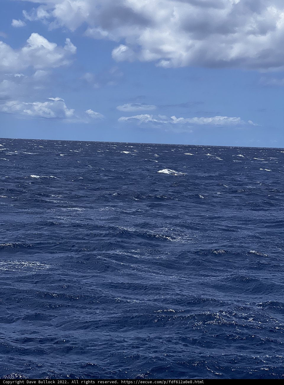 Serenity of the Pacific