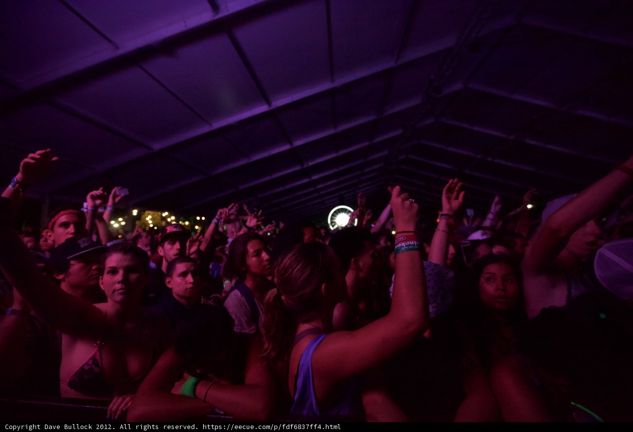 Coachella Crowd Goes Wild