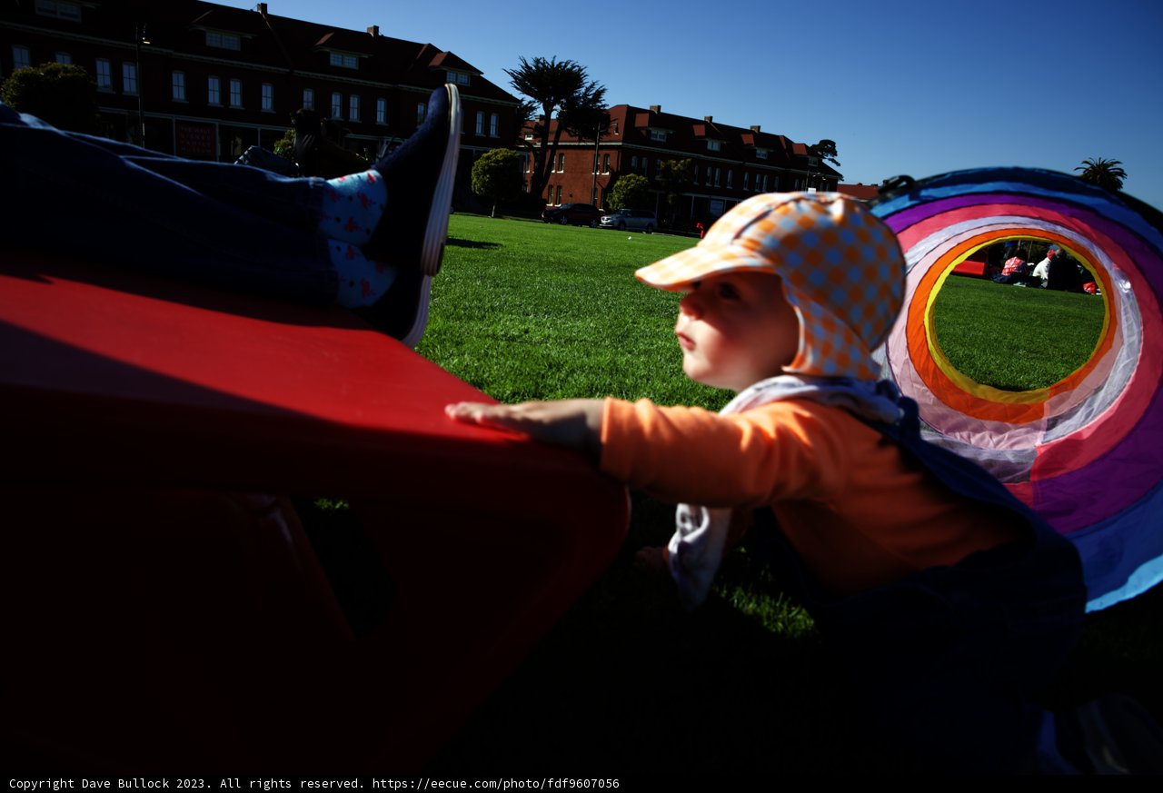 Sunny Playtime in the Park