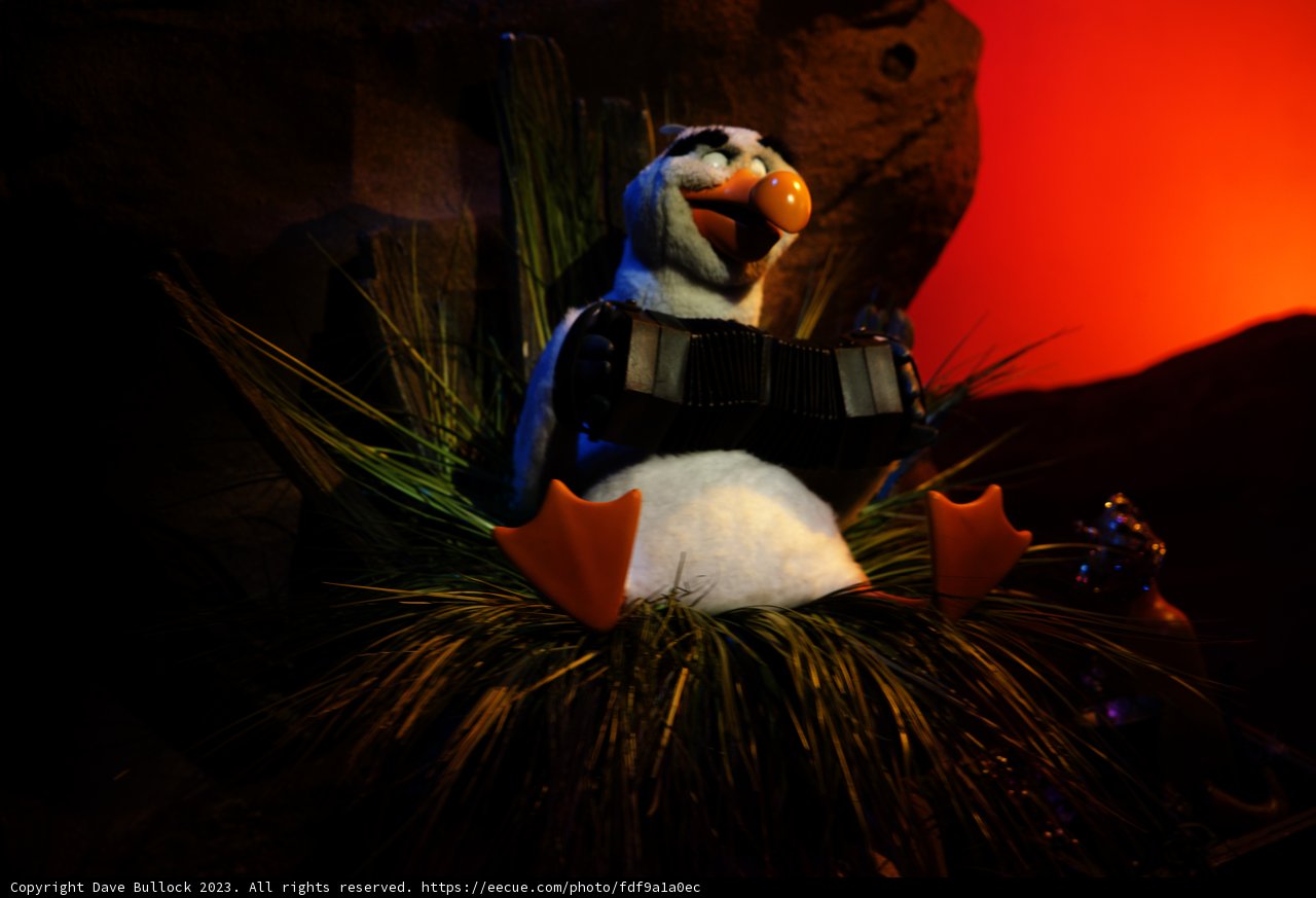 Rockin' Penguin in Disneyland
