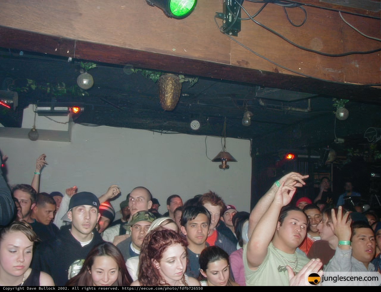Night Club Fun