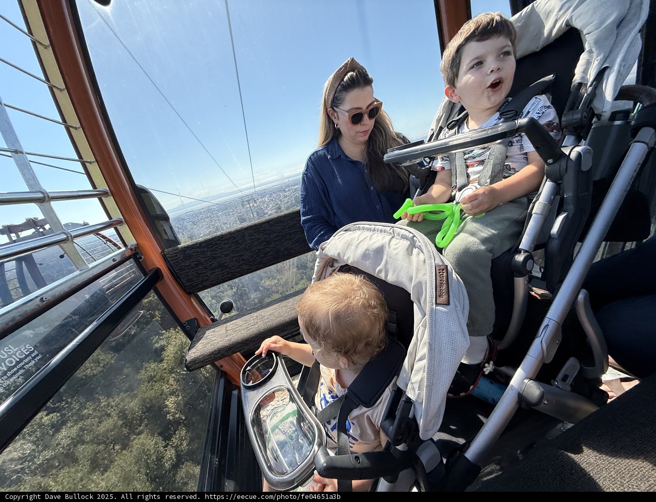 Adventure at New Heights