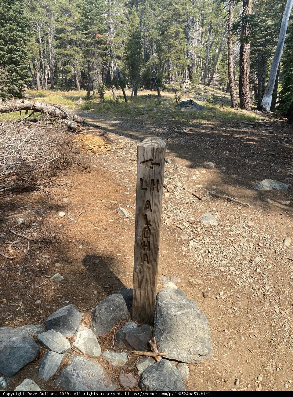 Marking the Trail