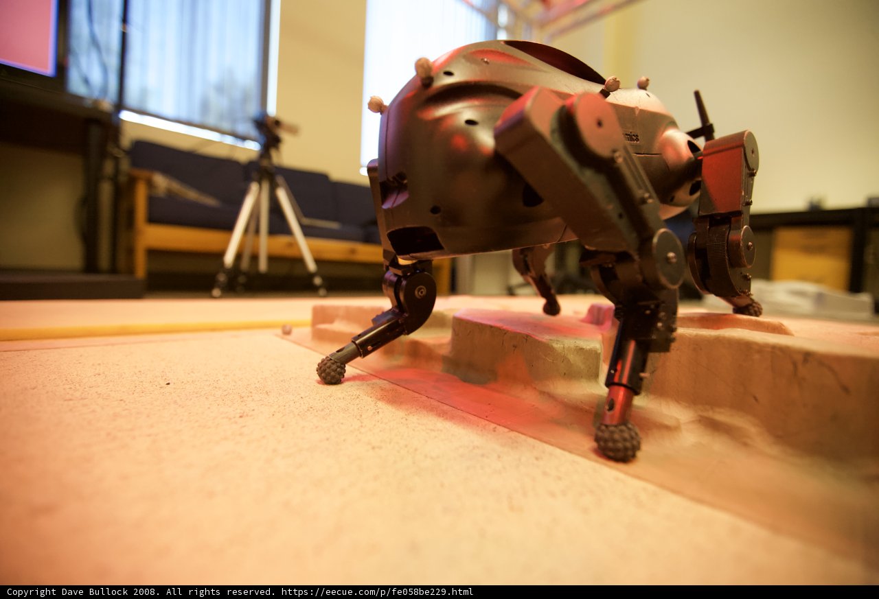 Robo-Pup on Plywood Pedestal
