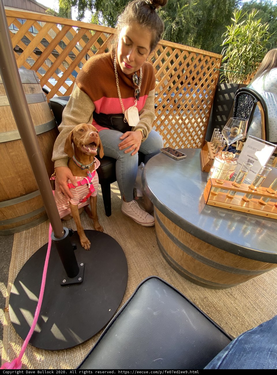 Potted Plants and Puppy Love