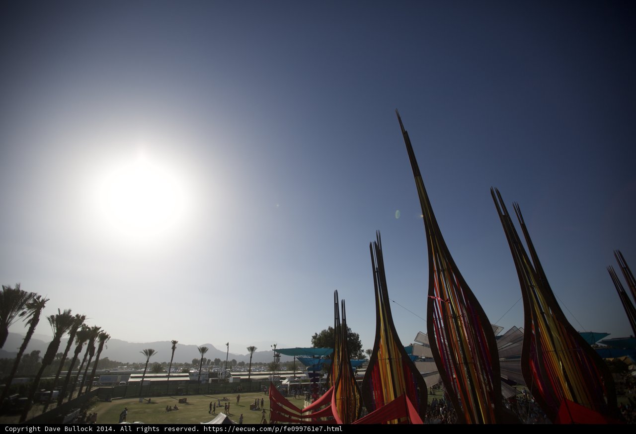 Field of Flags Shines Under the Summer Sun