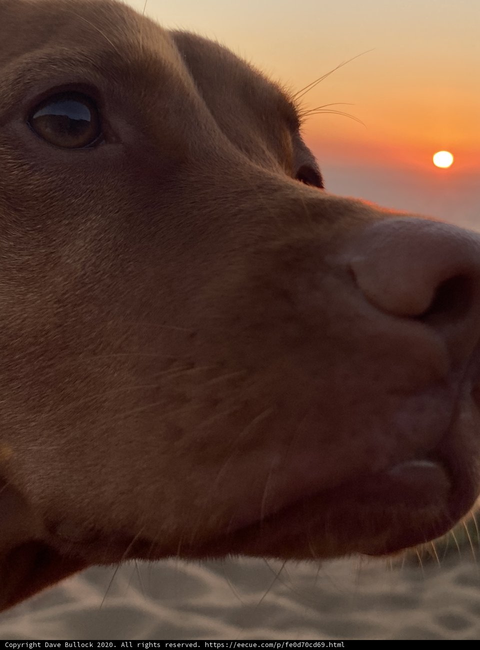 Solitude at Sunset