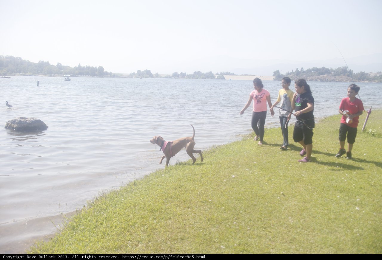 Lakeside Stroll