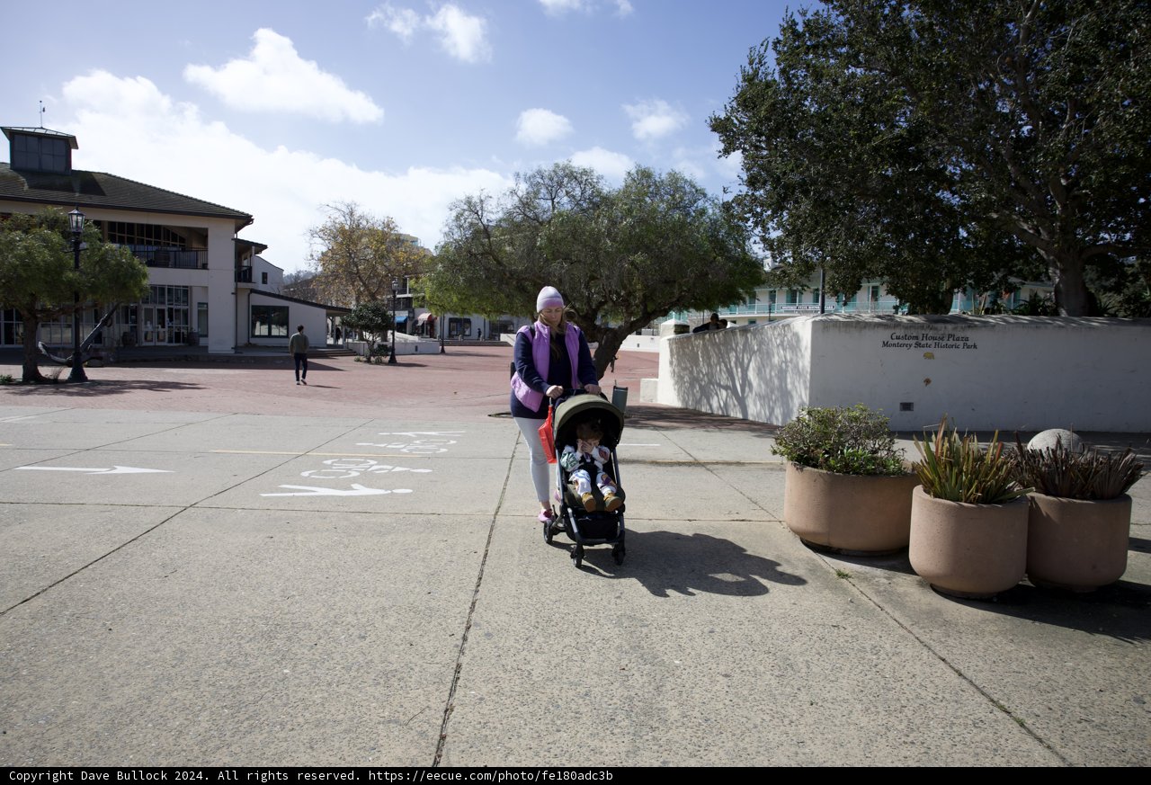 Urban Leisure: The Peaceful Bustle of Monterey