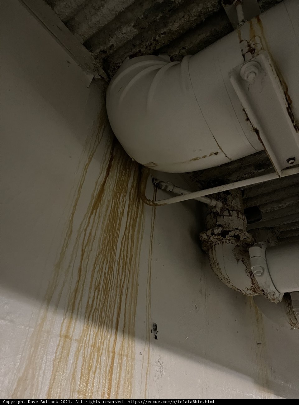 Signs of Mold in My Home