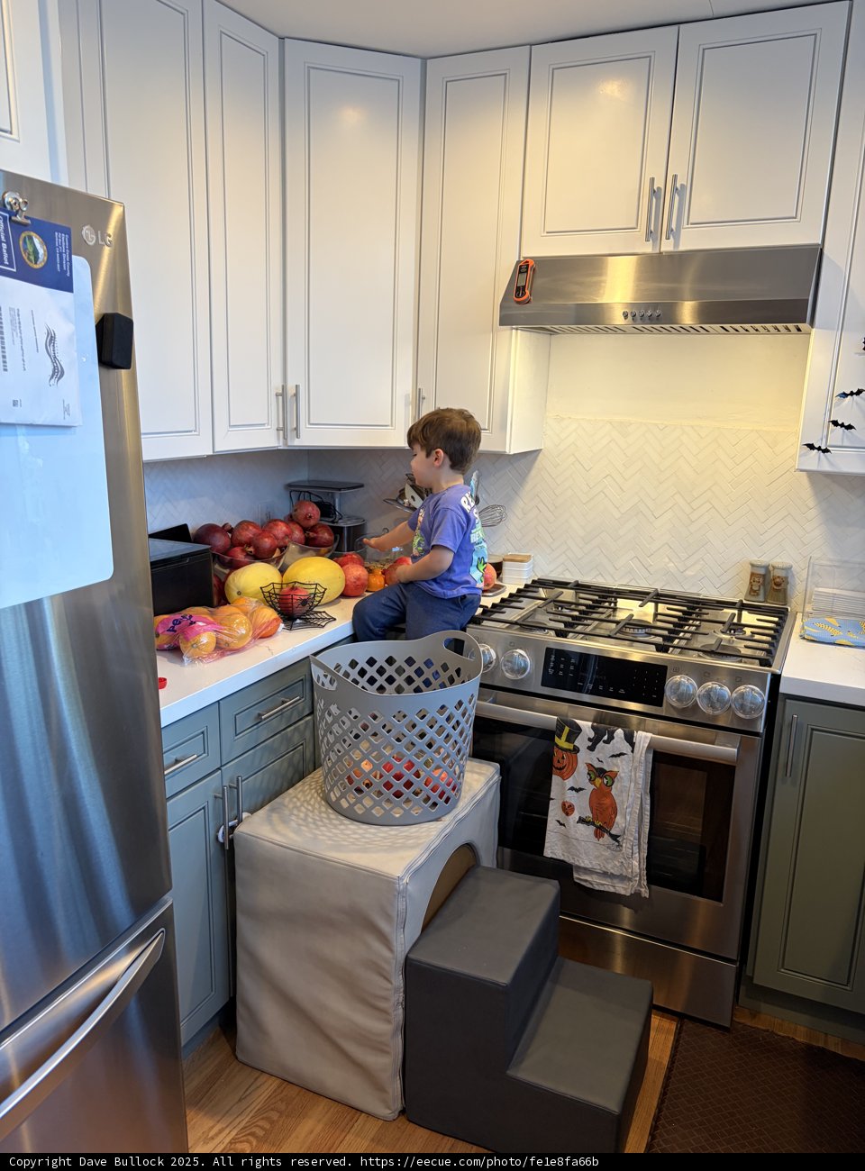 Kitchen Adventures