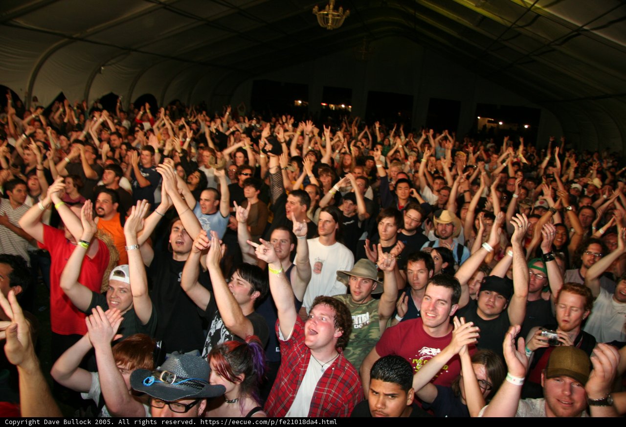 Electric Energy Ignites the Night with the Crowd