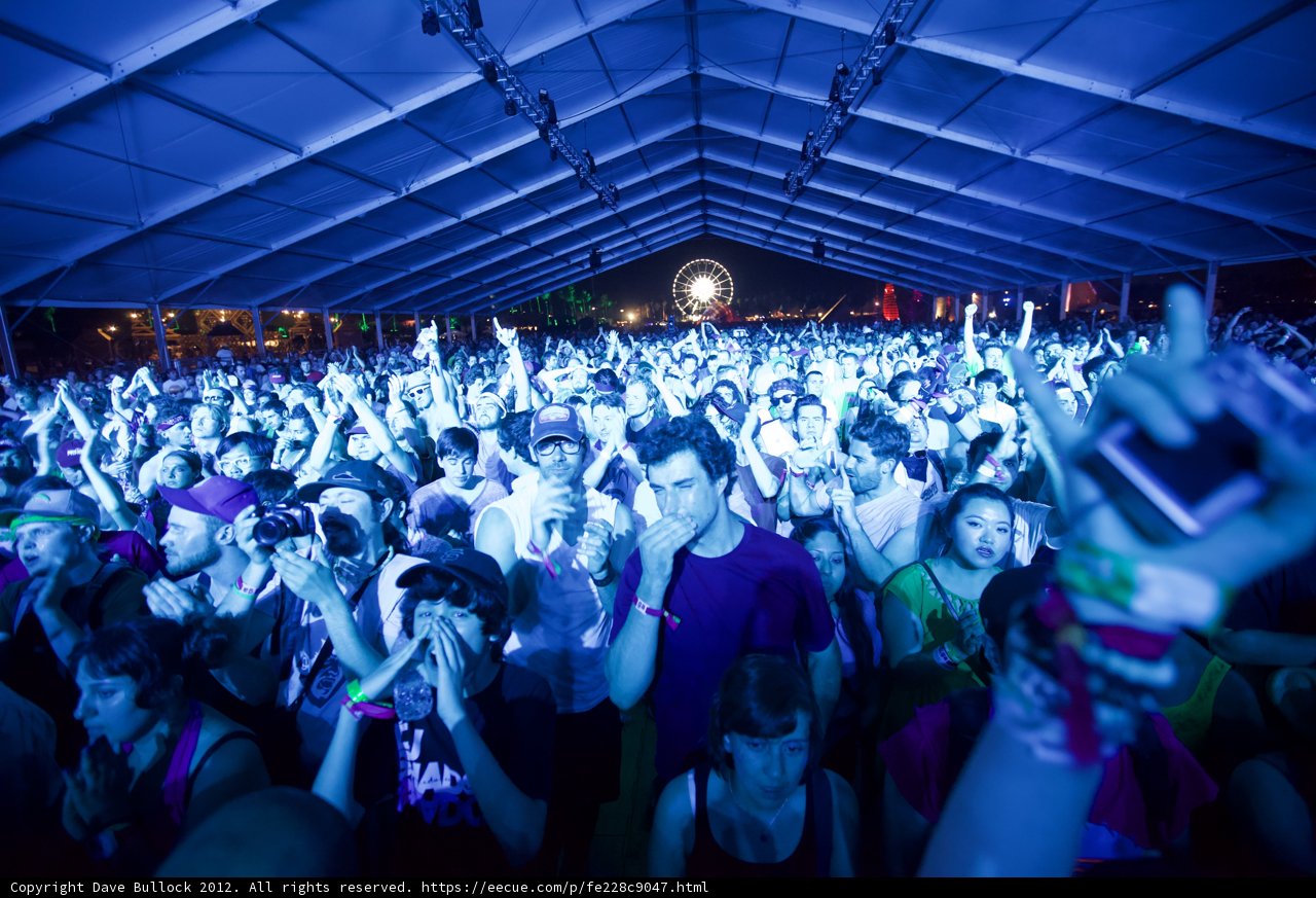 Coachella Crowd Goes Wild