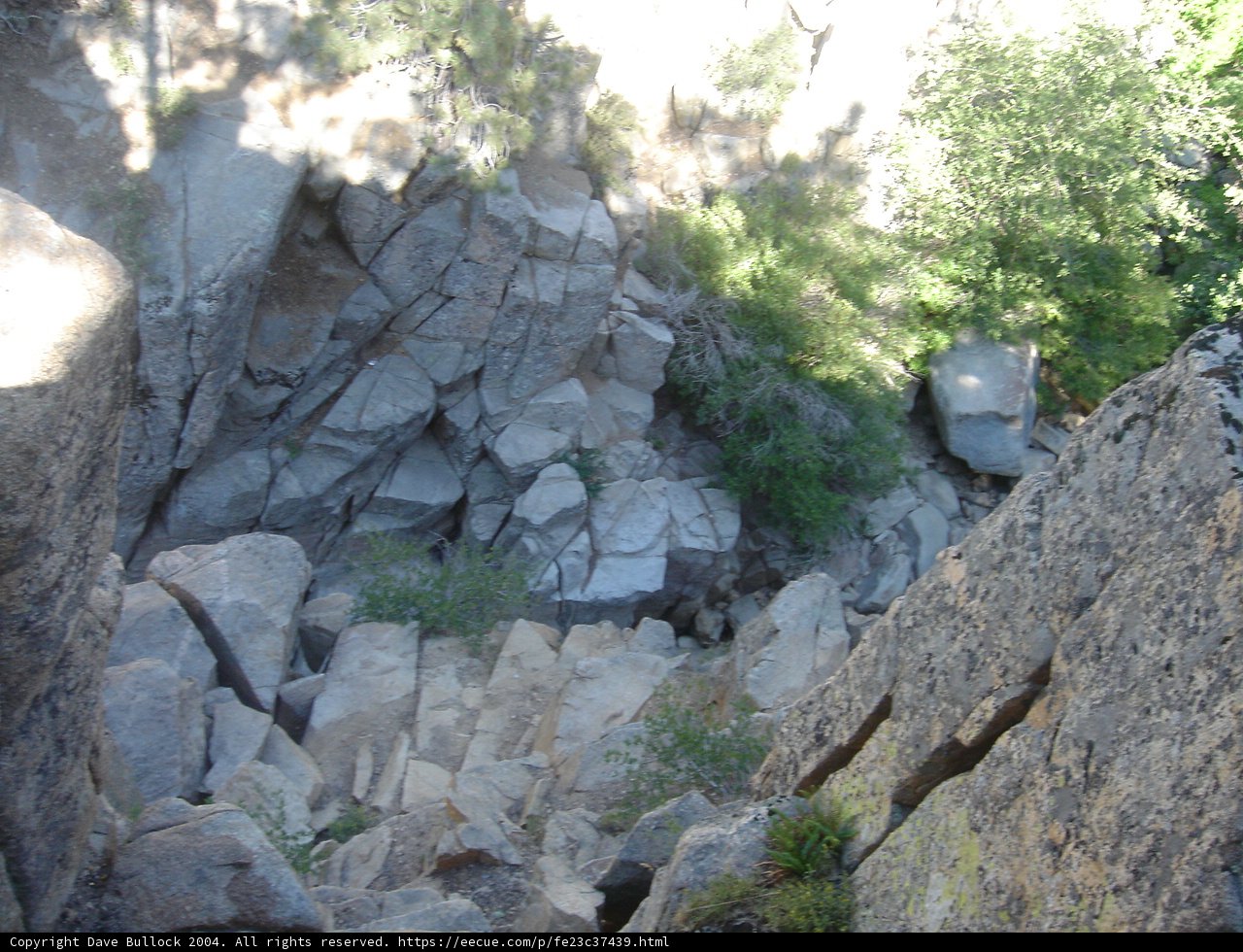Majestic View of Canyon's Rocks and Trees