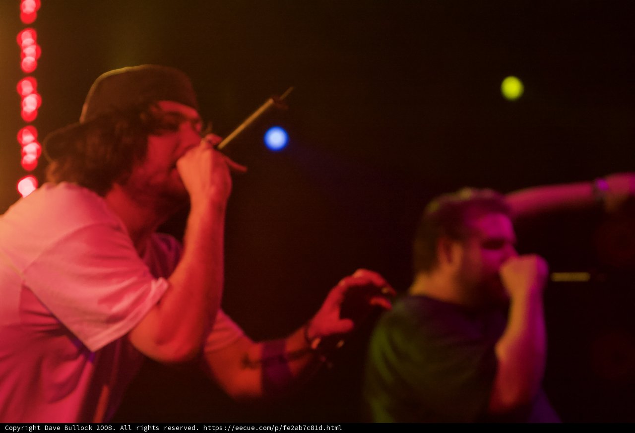 Rocking the Crowd at Coachella
