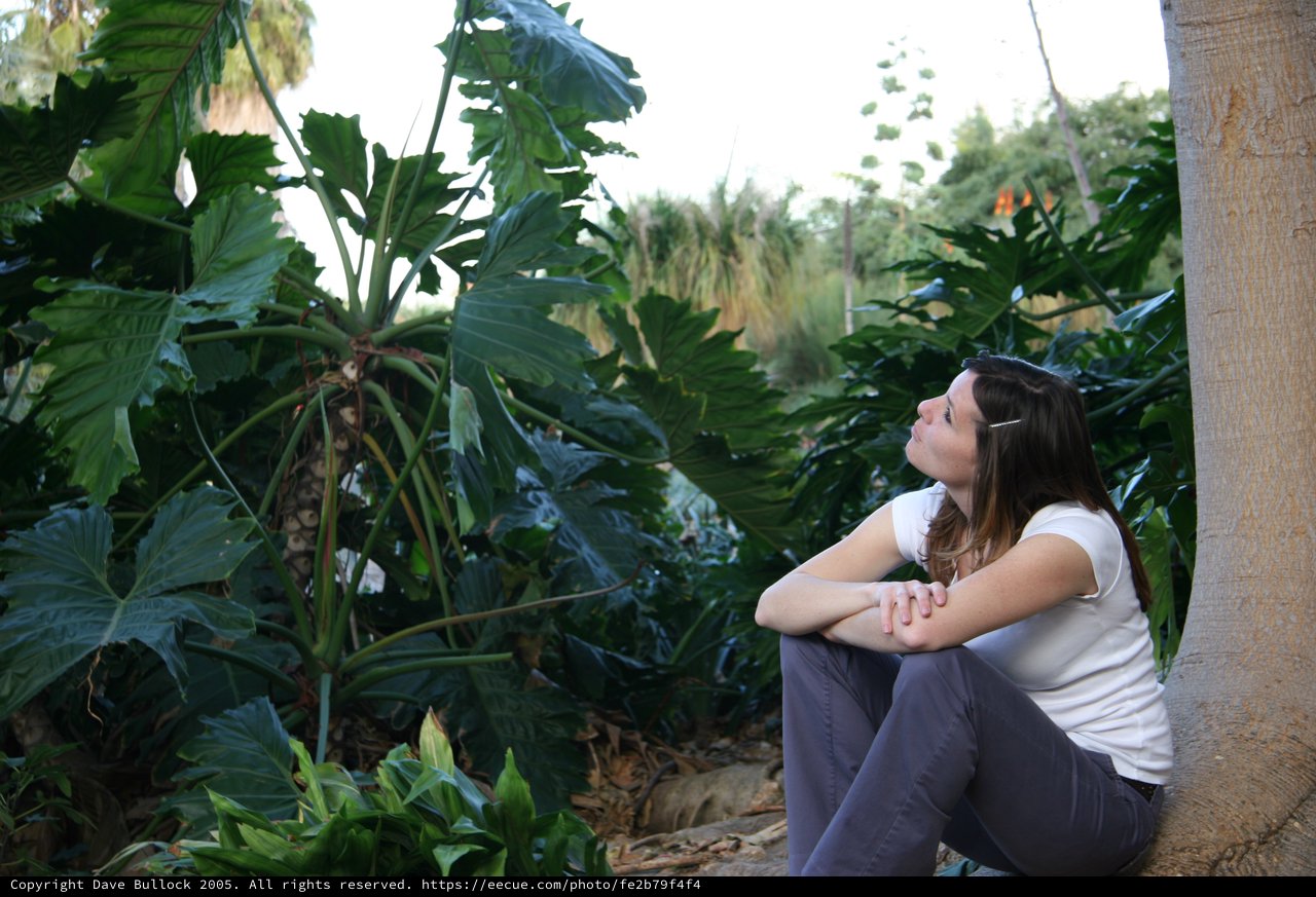 Woman Gazing Upward Among Lush Tropical Foliage